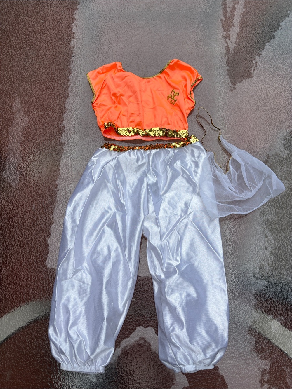 Harem Costume size 2T CF11